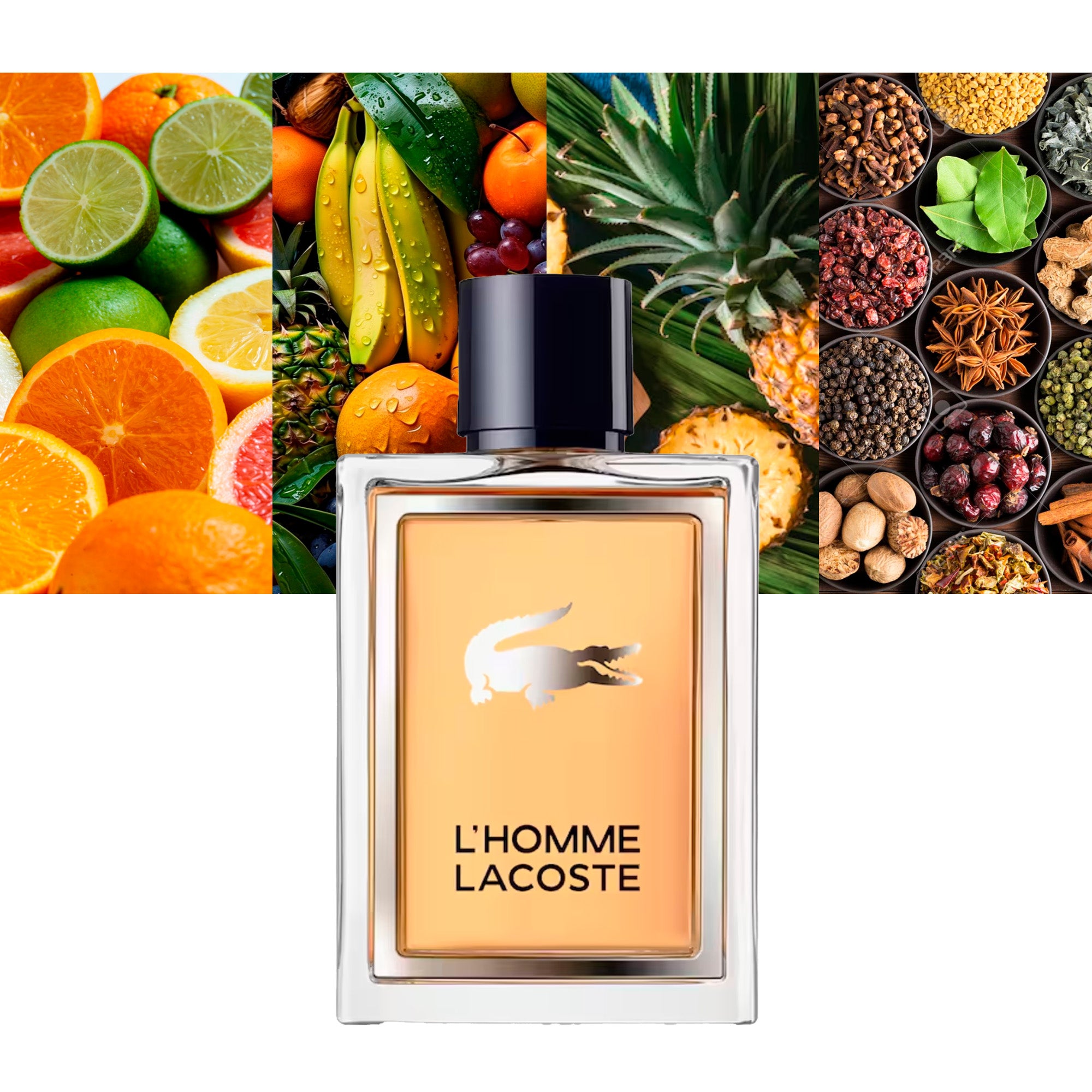 Lacoste L Homme Lacoste EDT 3.4oz for men fragrance bottle and box